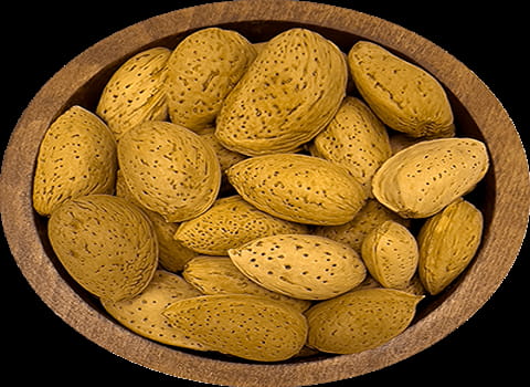 تصویر 2 از بادام درختی محلی تازه با طعم شیرین